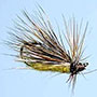 Dancing Caddis